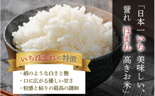 【令和7年産】定期便6回 いちほまれ 無洗米 10kg×6回（60kg）／ 福井県産 ブランド米 ご飯 白米 新鮮 [aw064-o002]