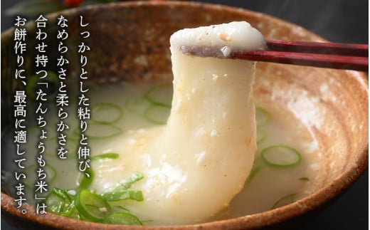 【令和7年産】たんちょうもち米 1.5kg×3袋（計4.5kg）精米 ≪希少！お餅作りに最良≫ ／ 餅 タンチョウ 餅つき 丸餅 柏餅 [aw064-a020]