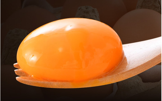 濃厚で甘くておいしい！ 福井ブランド「福地鶏」の卵 50個（25個入×2段） ／ 卵 たまご 鶏卵 生卵 有精卵 高級 高級卵 福地鶏 鶏 平飼い 美味しい こだわり 卵かけご飯 料理 あわら市 福井県産 [aw036-a002]