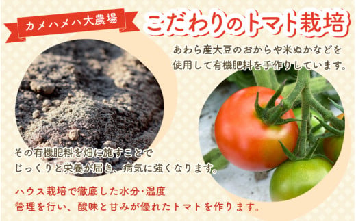 100％完熟トマトジュース 300ml×4本 《朝食に休息時間におすすめ》 [aw018-a001]
