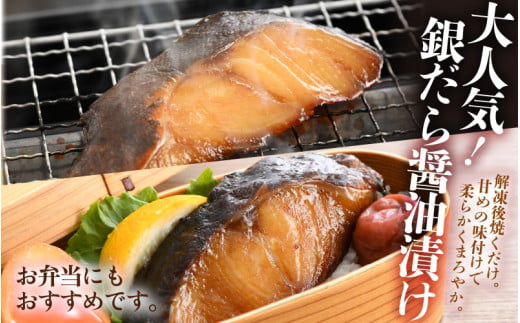 銀だら醤油漬け・明太サバ・ふくいサーモン切り身セット 計6切 《ビールやご飯のおかずにぴったりな人気3種セット！》／ 焼き魚 お子様OK お父さん おつまみ 朝食 弁当 明太子 魚介類 個包装 お取り寄せ 人気 数量限定 [aw002-a008]