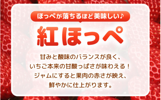 あわらの大人気 観光いちご農園「農楽里」で採れた「紅ほっぺ」のいちごジャム 140g×4瓶 大賞 受賞 [aw012-a001]