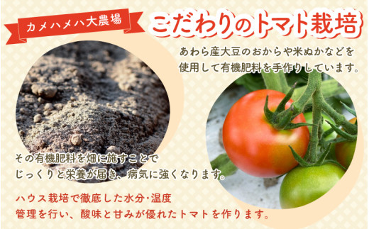 100％完熟トマトジュース 300ml×3本 《朝食に休息時間におすすめ》 [aw018-a002]