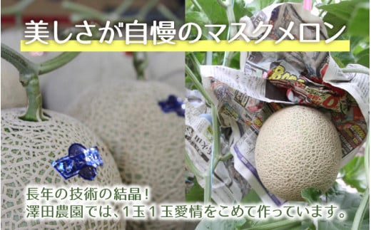 【先行予約】マスクメロン 青肉/赤肉 2色セット（1.5kg以上 2玉入）食べ比べお楽しみ！アールスメロン  / 期間限定 果物 フルーツ 産地直送 人気 食べ比べ ※2026年7月上旬より順次発送 [aw039-a006]