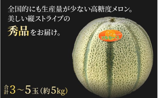 【先行予約】佐藤農園のマルセイユメロン 約5kg 秀品（3～5玉入）深みのある甘さ とろける濃厚な赤肉！農家直送 有機肥料 低農薬 ※2027年5月下旬～6月末の間に順次発送予定 [aw069-a012]