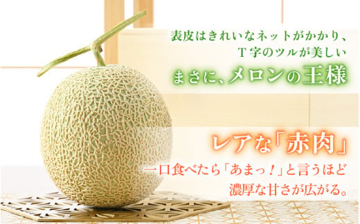 【先行予約】【赤肉】アールスメロン 2玉（約3.2kg以上）赤肉品種 高級メロン！ ／ マスクメロン 大玉 果物 フルーツ 夏 ギフト 農家直送 ※2027年6月下旬以降順次発送 [aw065-a014]