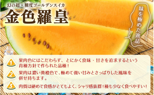 【先行予約】大玉スイカ『金色羅皇』（7kg以上 1玉入） スイカ史上 最高糖度！  / 期間限定 果物 フルーツ 産地直送 すいか 人気 高糖度 ※2027年6月中旬より順次発送 [aw039-a025]