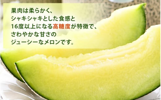【先行予約】ペルルメロン 3L 2玉入（1.7kg以上×2玉）糖度16度以上！／ 1株1果 大玉 青肉 メロン 果物 フルーツ ギフト 農家直送 ※2027年6月下旬より順次発送 [aw045-a003]