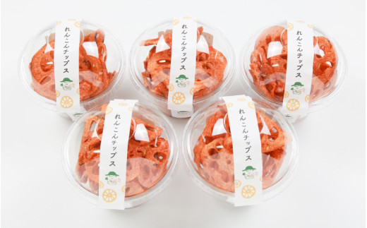 【先行予約】【極厚】堅あげ！れんこんチップス 5カップ ／ 腸活 お菓子 チップス れんこん 小分け おすすめ サクサク【2026年11月上旬以降順次発送予定】 [aw056-a016]
