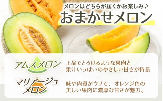 【先行予約】日を分けて2度楽しめる！小玉すいか・おすすめメロン 2種セット(2玉入)  / 期間限定 果物 フルーツ 産地直送 青肉 赤肉 スイカ 小玉スイカ 人気 ※2027年6月下旬より順次発送 [aw039-a020]