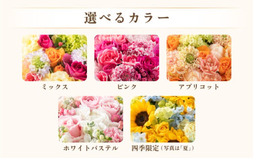 気分を変える花ギフト -Doris- (花束・アプリコット) [aw062-b002_06]