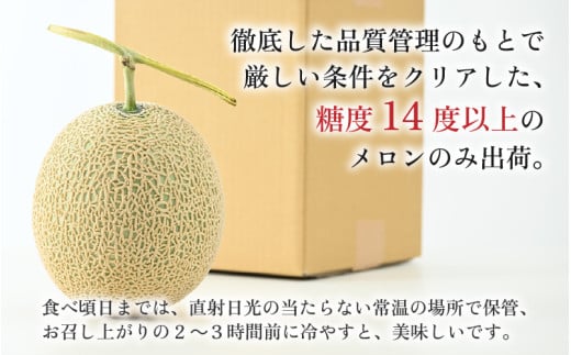 【先行予約】【赤肉】秋 アールスメロン 2玉（計約3.2kg以上）赤肉品種 高級メロン！ ／ マスクメロン 大玉 果物 フルーツ 夏 ギフト 農家直送  ※2026年9月中旬以降発送 [aw065-a011]
