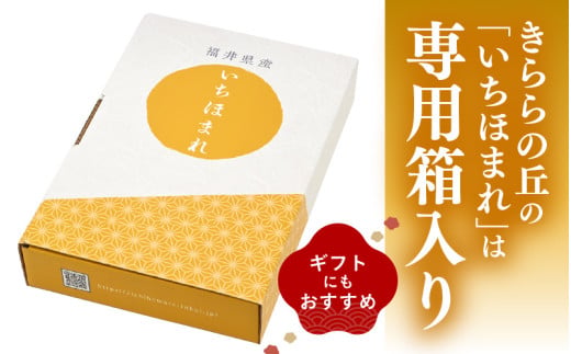 【令和7年産】いちほまれ 精米 5kg 《ギフトにもおすすめ！化粧箱入り》／ 福井県産 ブランド米 白米 贈り物 お取り寄せ [aw003-a012]