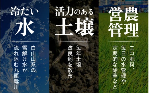 【先行予約】【令和8年産 新米】エコ栽培コシヒカリ 玄米10kg（5kg×2） ／ 鮮度抜群 福井県産 こしひかり ご飯 新鮮 玄米 ※2026年10月上旬以降順次発送 [aw063-a022]