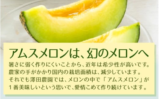 【先行予約】アムスメロン（1.3kg以上 2玉入) とろけるような果肉が絶品！ / 期間限定 果物 フルーツ 産地直送 青肉 人気 ※2027年6月下旬より順次発送 [aw039-a018]