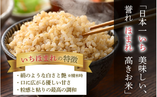 【令和7年産】いちほまれ 玄米 5kg×1袋《新鮮な高品質米をお届け！》／ 福井県産 ブランド米 ご飯 [aw064-a019]