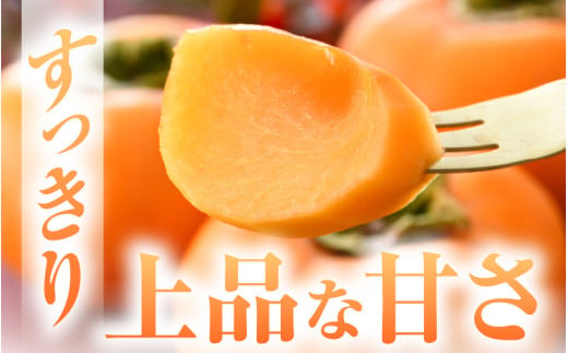 【先行予約】越前柿 16個入 約2.5kg（M～2L）≪JA受賞歴親子２代≫ ／ 果物 フルーツ 柿 産地直送 期間限定 ※2026年11月上旬より順次発送 [aw061-a003]