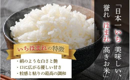 【令和7年産】定期便6回 いちほまれ 精米 5kg×6回（計30kg）《お米マイスターが発送直前に精米！》 ／ 福井県産 ブランド米 ご飯 白米 新鮮 [aw064-i004]