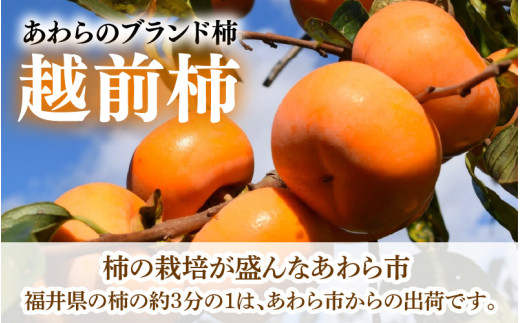 【先行予約】越前柿 16～20玉入 M～2L 《種なしで食べやすく甘い！》 あわらブランド ／ 期間限定 果物 フルーツ 産地直送 旬 お取り寄せ ※2026年10月中旬以降順次発送 [aw003-a006]