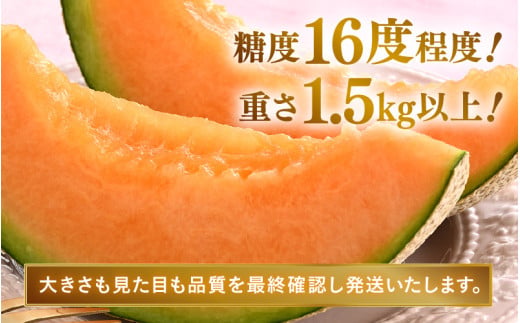 【先行予約】赤肉パリスメロン 秀品 2玉（1.5kg以上×2玉）【アールス系赤肉メロン】《糖度16度程度！1株1果採りで育てる高級メロン！》／ 果物 フルーツ 農家直送 赤肉 マスクメロン アールスメロン ギフト 贈答用 ※2026年7月上旬より順次発送予定 [aw028-a003]