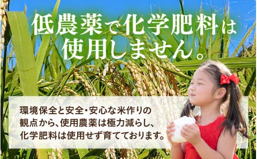 【先行予約】【令和8年産】定期便 ≪6ヶ月連続お届け≫ 化学肥料不使用 虹のきらめき 精米 5kg × 6回（合計30kg） / 白米 米 福井県あわら市産 美味しい 特別栽培米 減農薬 安心な米 旨味 甘み もっちり 冷蔵保管米 ※2026年10月上旬以降発送予定 [aw010-d005]