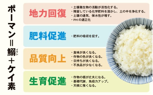 【先行予約】【令和8年産】《定期便6回》特別栽培米 コシヒカリ 5kg × 6回 （計30kg） 無洗米 低農薬 / 北陸 福井県産 あわら市 ブランド米 白米 お米 コメ 特栽米 ※2026年10月上旬以降順次発送予定 [aw056-f001]