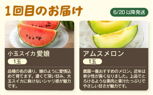 【先行予約】≪定期便/全3回≫フルーツ王国あわらのこだわり5品 農家直送 厳選品／ 期間限定 果物 フルーツ 青肉メロン 赤肉メロン 西瓜 とうもろこし 産地直送 ※2027年6月中旬より順次発送 [aw039-c002]