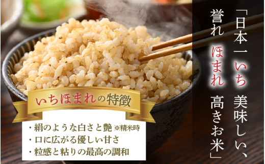 【令和7年産】定期便3回 いちほまれ 玄米 5kg×3回（計15kg）《新鮮な高品質米をお届け！》／ 福井県産 ブランド米 ご飯 [aw064-c007]