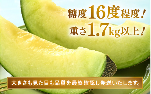 【先行予約】青肉ペルルメロン 秀品 2玉（1.7kg以上×2玉）【ネット系青肉メロン】《糖度16度程度！1株1果採りで育てる高級メロン！》／ 果物 フルーツ 農家直送 青肉 ネット系メロン ギフト 贈答用 ※2026年7月上旬より順次発送予定 [aw028-a004]