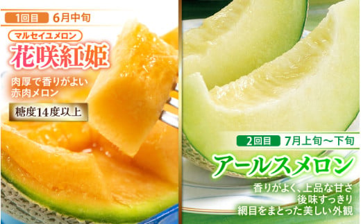 【先行予約】《全6回》あわら満喫 6種 フルーツ定期便 《あわらの旬が色々楽しめる♪》／ 果物 旬 食べ比べ 贈り物 定期便 マルセイユ アールス 大玉スイカ 梨 柿 ※2027年6月中旬以降順次発送 [aw003-e001]