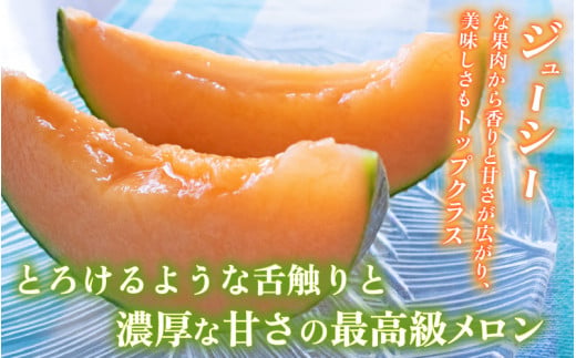 【先行予約】【赤肉】アールスメロン 2玉（約3.2kg以上）赤肉品種 高級メロン！ ／ マスクメロン 大玉 果物 フルーツ 夏 ギフト 農家直送 ※2027年6月下旬以降順次発送 [aw065-a014]