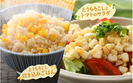 【先行予約】秋とうもろこし 黄色 白色 計5本 おおもの 朝採り ／ 期間限定 数量限定 ハウス栽培 産地直送 甘い ミックス スイートコーン 白い とうもろこし ホワイトコーン 野菜 あわら ※2026年10月10日より順次発送 [aw039-a014]
