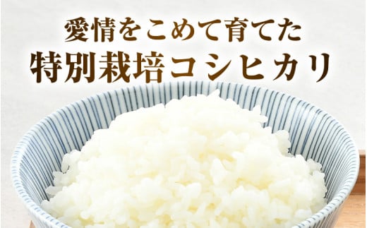 【先行予約】【令和8年産】《定期便6回》特別栽培米 コシヒカリ 5kg × 6回 （計30kg） 無洗米 低農薬 / 北陸 福井県産 あわら市 ブランド米 白米 お米 コメ 特栽米 ※2026年10月上旬以降順次発送予定 [aw056-f001]
