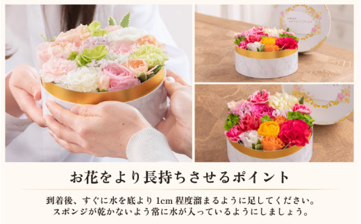 花屋がつくったフラワーケーキ S  （アプリコット） [aw062-a001_03]