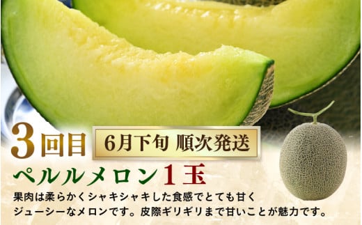 【先行予約】《定期便全5回》フルーツ大満足定期便 ／ すいか マスクメロン 高級メロン 大玉 果物 フルーツ 夏 ギフト 農家直送 ※2027年6月上旬以降発送  [aw065-d001]