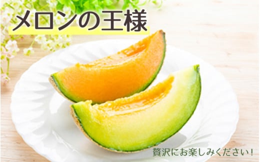 【先行予約】マスクメロン 青肉/赤肉 2色セット（1.5kg以上 2玉入）食べ比べお楽しみ！アールスメロン  / 期間限定 果物 フルーツ 産地直送 人気 食べ比べ ※2026年7月上旬より順次発送 [aw039-a006]
