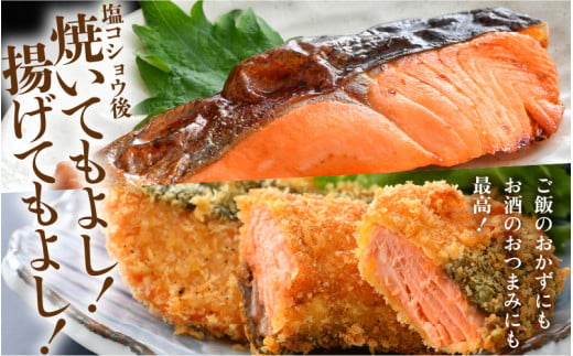 《定期便3回》ふくいサーモン 切り身 100g×6切 計600g ＜鮮度抜群！真空冷凍＞ ／ 生食OK 刺身 焼き魚 鮭 国産 [aw002-f002]