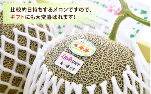 【先行予約】ペルルメロン 3L 2玉入（1.7kg以上×2玉）糖度16度以上！／ 1株1果 大玉 青肉 メロン 果物 フルーツ ギフト 農家直送 ※2027年6月下旬より順次発送 [aw045-a003]