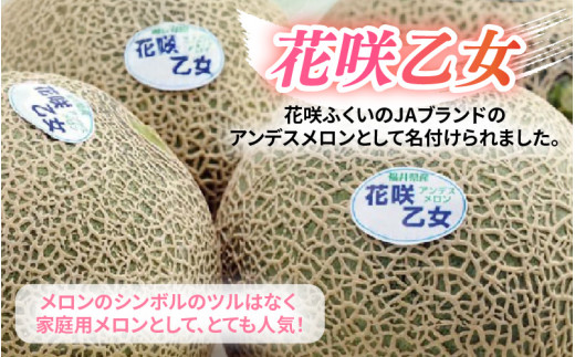 【先行予約】アンデスメロン 花咲乙女 3～5玉入 《甘くまろやか！青肉で果汁たっぷり》／ 期間限定 果物 フルーツ 産地直送 ※2027年6月下旬より順次発送 [aw003-a008]