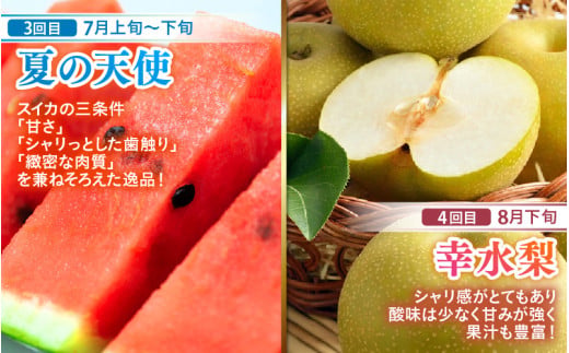 【先行予約】《全6回》あわら満喫 6種 フルーツ定期便 《あわらの旬が色々楽しめる♪》／ 果物 旬 食べ比べ 贈り物 定期便 マルセイユ アールス 大玉スイカ 梨 柿 ※2027年6月中旬以降順次発送 [aw003-e001]