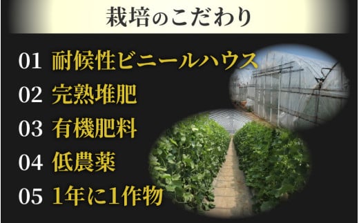 【先行予約】佐藤農園のマルセイユメロン 約3kg前後《秀品》(2～3玉入）深みのある甘さ とろける濃厚な赤肉！農家直送 有機肥料 低農薬 ※2026年6月上旬より順次発送予定 [aw069-a002]