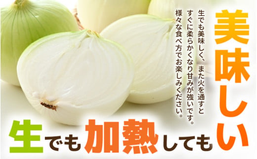 【先行予約】採れたて 新玉ねぎ 5kg（サイズ S M L ミックス）田んぼで育てた甘くて柔らか自慢の玉ねぎ！ ／ 野菜 万能 料理 常備 玉葱 BBQ たまねぎ 玉ネギ 甘い 2027年6月上旬以降順次発送予定 [aw056-a019]