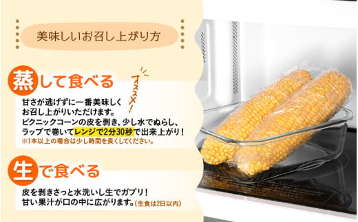 【先行予約】朝採り ピクニックコーン 黄色 10本入《生でも食べれる！希少品》 ／ 野菜 とうもろこし スイートコーン ※2026年6月上旬以降順次発送 [aw028-a007]