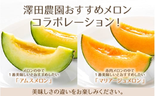【先行予約】アムス・マリアージュメロン 2種（1.3kg以上2玉入）農園1番のおすすめ！ / 期間限定 果物 フルーツ 産地直送 青肉 赤肉 人気 ※2027年7月上旬より順次発送 [aw039-a019]