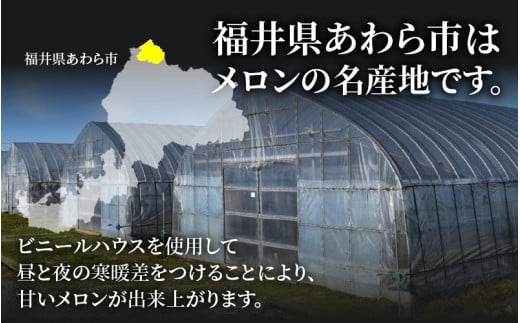 【先行予約】佐藤農園のマルセイユメロン 約5kg 秀品（3～5玉入）深みのある甘さ とろける濃厚な赤肉！農家直送 有機肥料 低農薬 ※2027年5月下旬～6月末の間に順次発送予定 [aw069-a012]