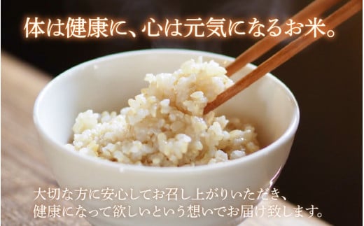 【先行予約】【令和8年産 新米】伊与衛門農園のコシヒカリ 玄米 5kg 特別栽培米 化学肥料不使用 ＜温度と湿度を常時管理し新鮮米を出荷！＞／ 高品質 鮮度抜群 福井県あわら産 ブランド米 お米 ※2026年9月下旬より順次発送予定 [aw071-a008]