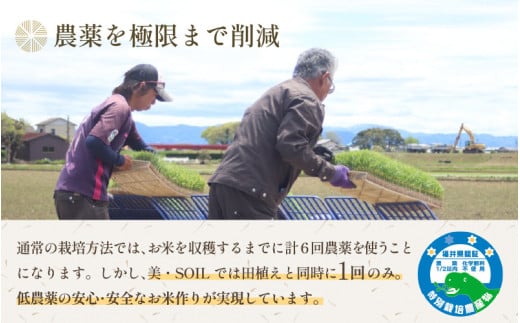 【先行予約】【令和8年産 新米】定期便《12ヶ月連続お届け》5kg×12回 60kg 特別栽培米 ミルキークイーン 精米 低農薬 《食味値85点以上！こだわり精米》 / 福井県 あわら市 北陸 米 お米 人気 白米 精米 ※2026年9月下旬より順次発送 [aw032-o005]