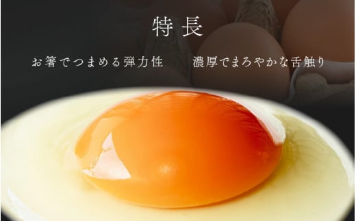 濃厚で甘くておいしい！ 福井ブランド「福地鶏」の卵 50個（25個入×2段） ／ 卵 たまご 鶏卵 生卵 有精卵 高級 高級卵 福地鶏 鶏 平飼い 美味しい こだわり 卵かけご飯 料理 あわら市 福井県産 [aw036-a002]
