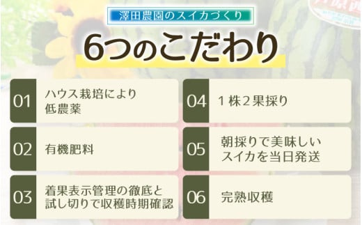 【先行予約】小玉すいか 愛娘(まなむすめ) 2kg以上 2玉入 ＜大玉のようなシャリ感！皮際まで抜群に甘い＞ / 期間限定 果物 フルーツ 産地直送 スイカ 小玉スイカ ※2027年6月上旬より順次発送 [aw039-a017]