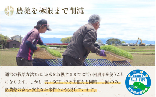 【先行予約】【令和8年産・新米】特別栽培米 ハナエチゼン 10kg  低農薬 《こだわり極上米》 / 福井県 あわら 北陸 米 お米 人気 ※2026年9月上旬以降順次発送 [aw032-c010]